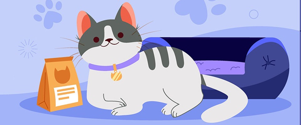 Sokak Hayvanlarına Destek Ol